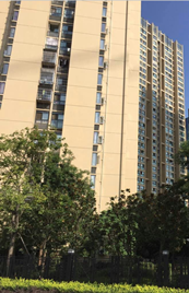 房屋建筑項目三